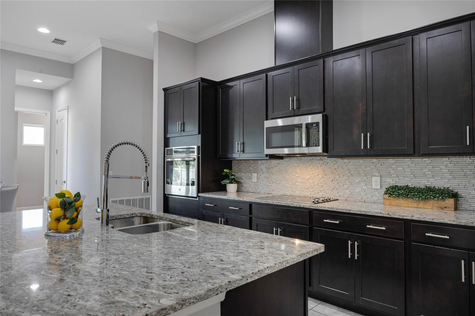 1009 BIRCH HOLLOW DR, APOPKA, FL, 32703