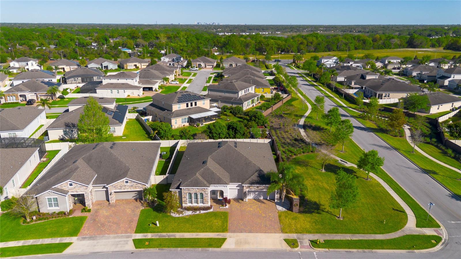 1009 BIRCH HOLLOW DR, APOPKA, FL, 32703