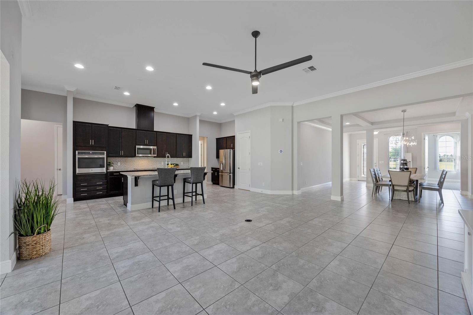 1009 BIRCH HOLLOW DR, APOPKA, FL, 32703
