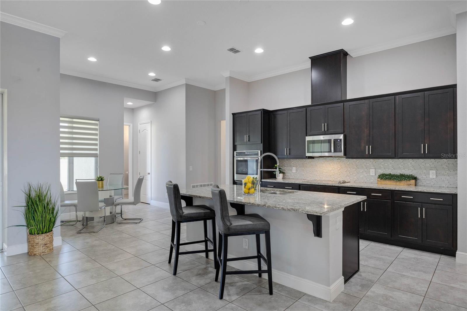 1009 BIRCH HOLLOW DR, APOPKA, FL, 32703