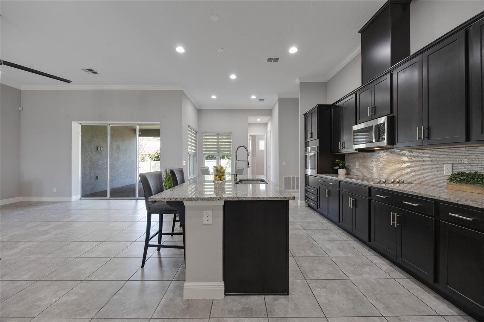 1009 BIRCH HOLLOW DR, APOPKA, FL, 32703