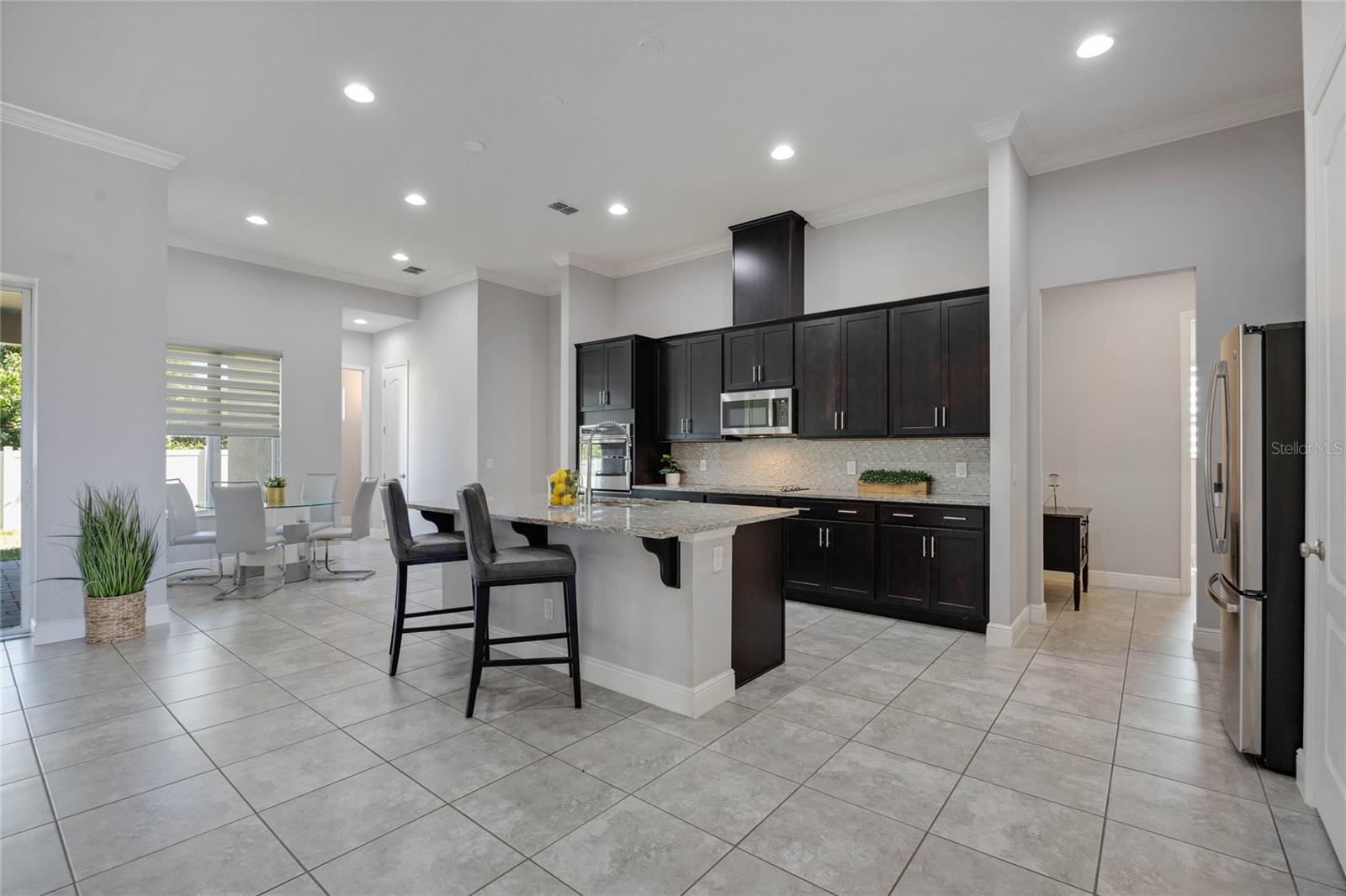 1009 BIRCH HOLLOW DR, APOPKA, FL, 32703