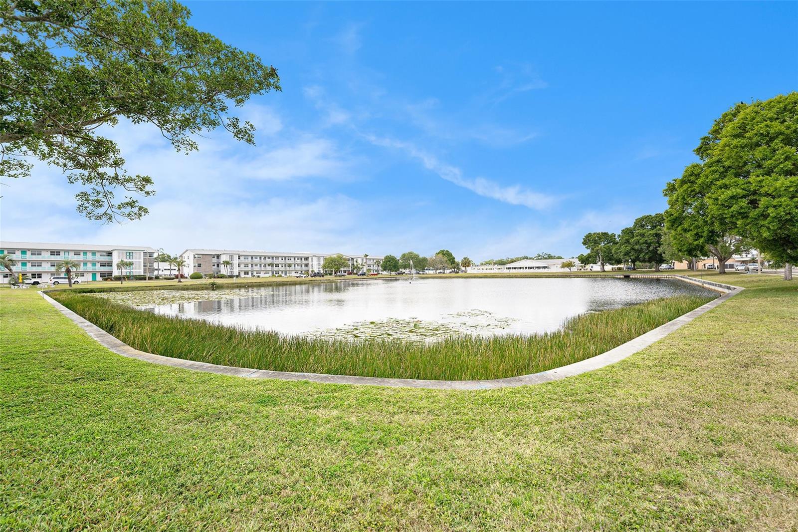 1900 59TH AVE N #217, ST PETERSBURG, FL, 33714
