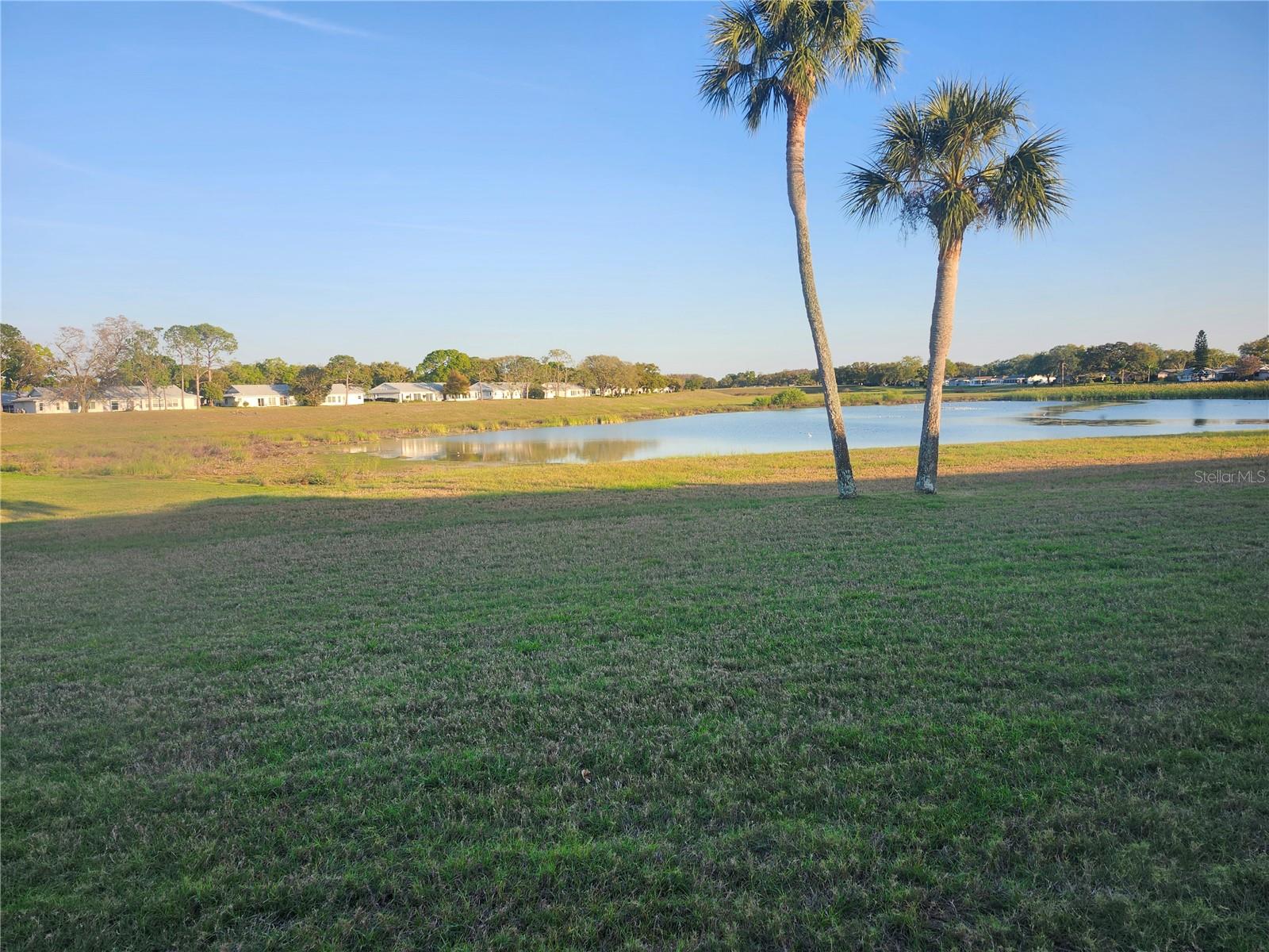 11130 CARRIAGE HILL DR #1, PORT RICHEY, FL, 34668