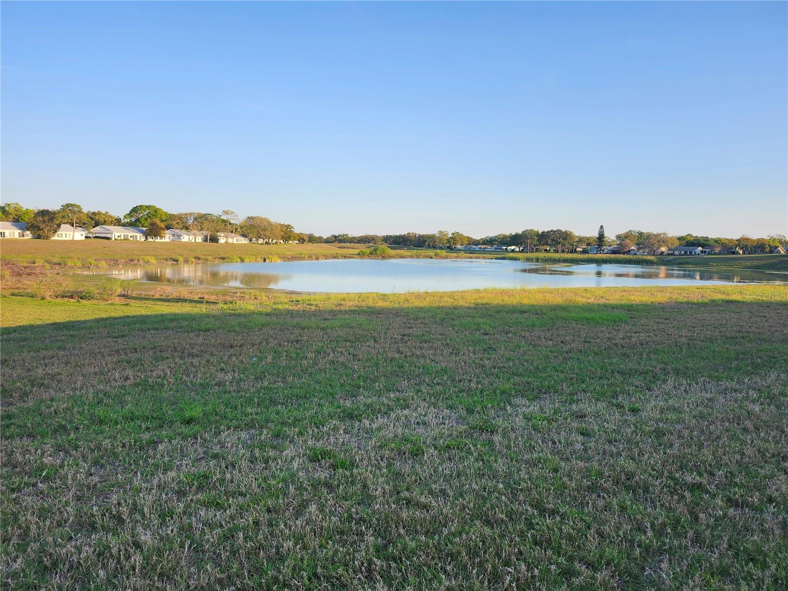 11130 CARRIAGE HILL DR #1, PORT RICHEY, FL, 34668