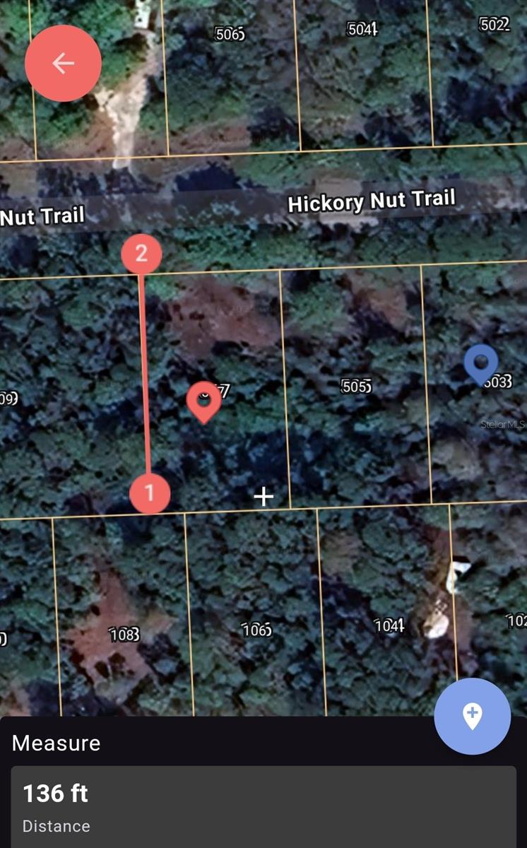507 HICKORY NUT TRL, SATSUMA, FL, 32189