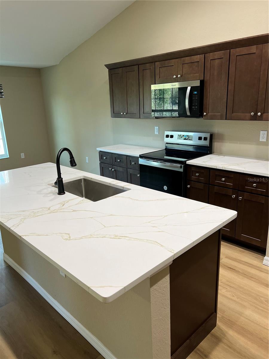 11125 SE 119TH ST, BELLEVIEW, FL, 34420