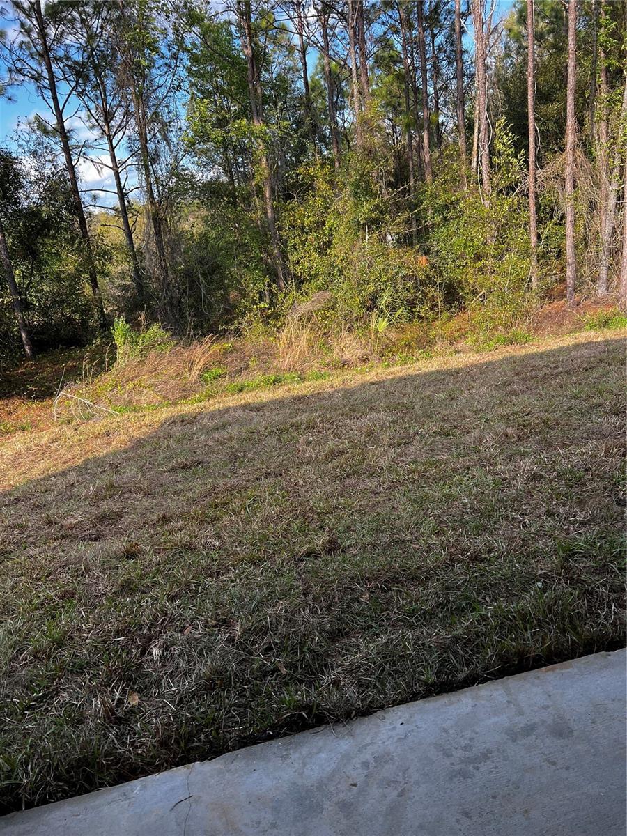 11125 SE 119TH ST, BELLEVIEW, FL, 34420