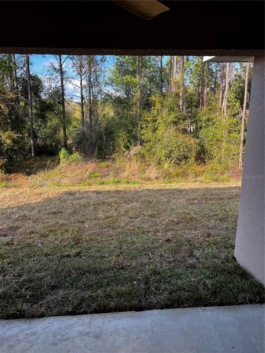 11125 SE 119TH ST, BELLEVIEW, FL, 34420