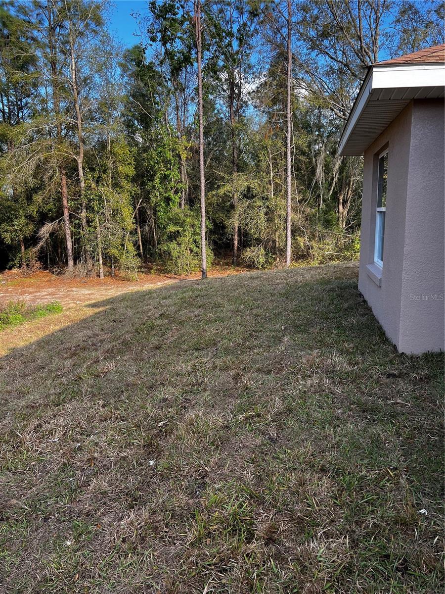 11125 SE 119TH ST, BELLEVIEW, FL, 34420