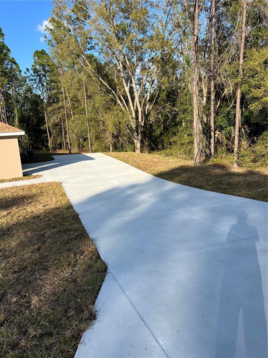 11125 SE 119TH ST, BELLEVIEW, FL, 34420