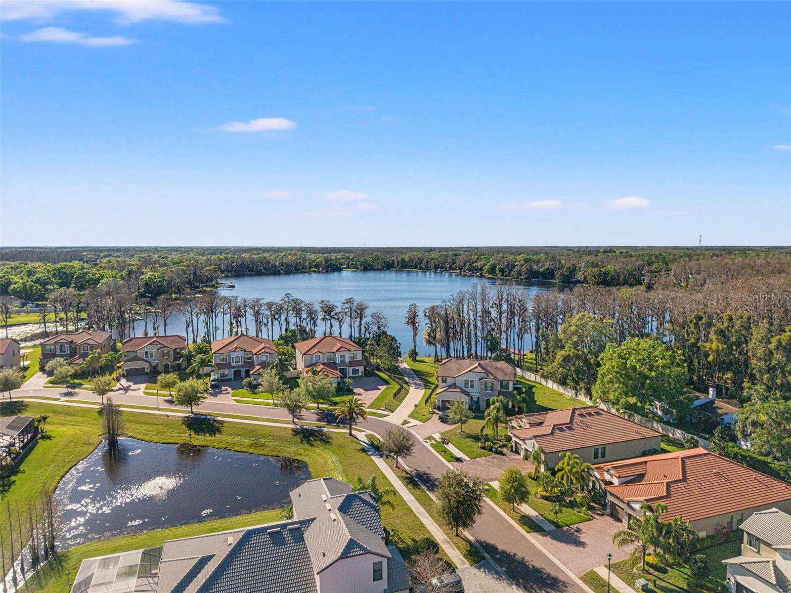 16532 BALLYSHANNON DR, TAMPA, FL, 33624