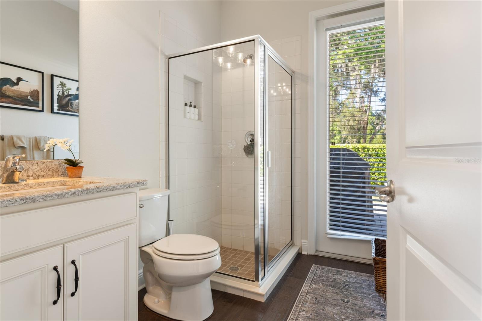 16532 BALLYSHANNON DR, TAMPA, FL, 33624