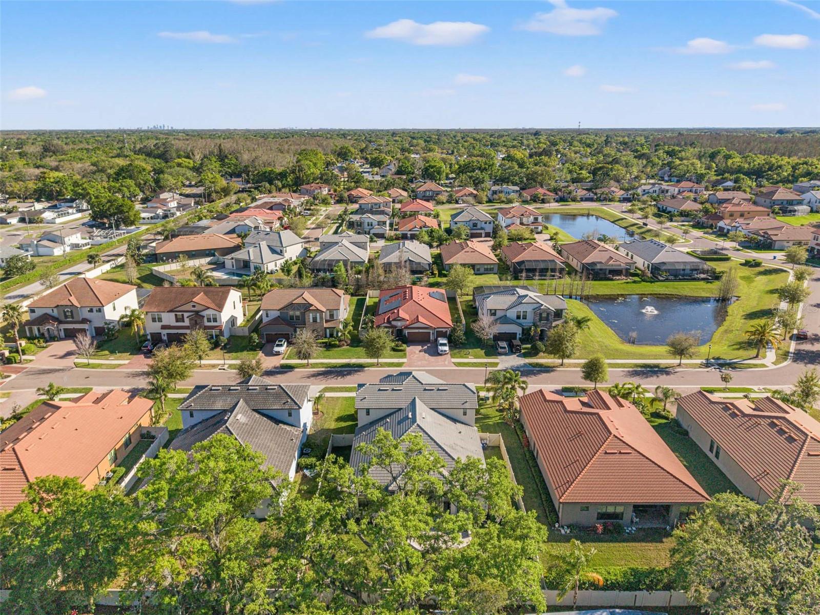 16532 BALLYSHANNON DR, TAMPA, FL, 33624