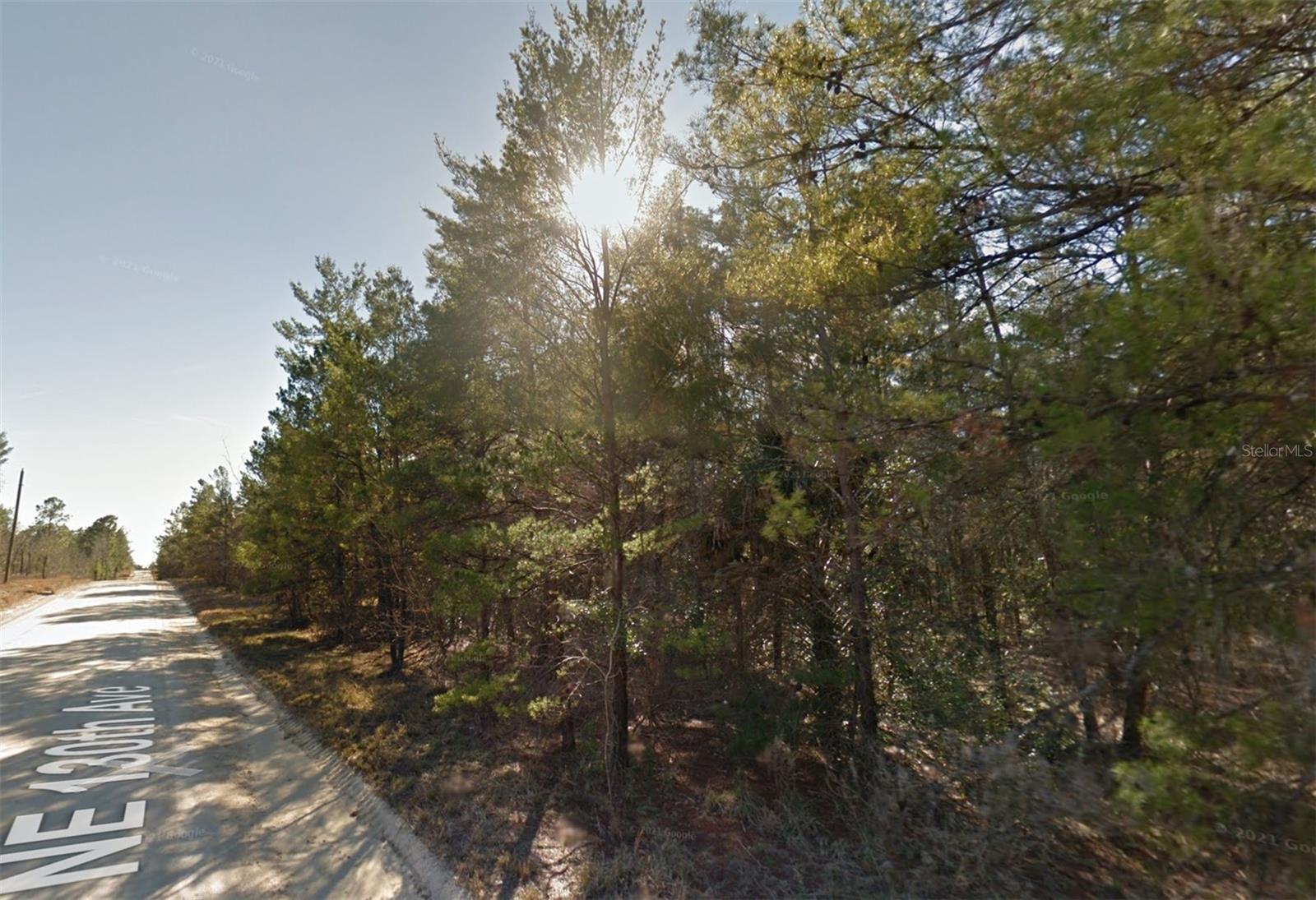 Lot 3 NE 130TH AVE, WILLISTON, FL, 32696