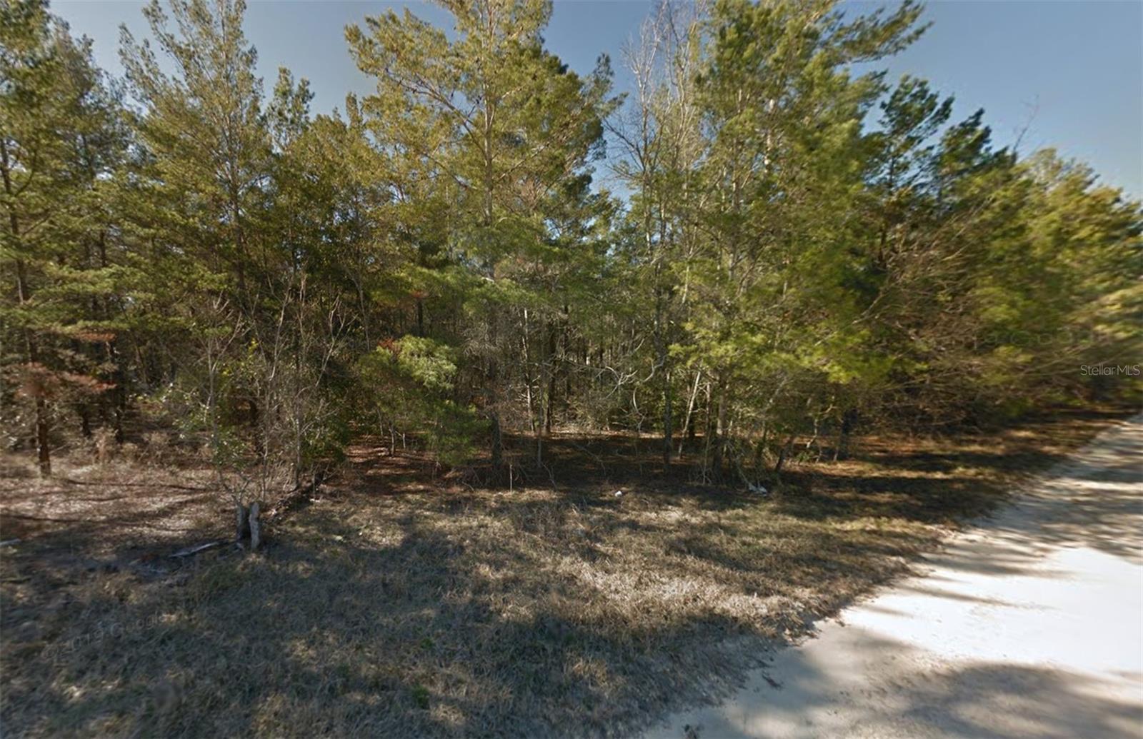 Lot 3 NE 130TH AVE, WILLISTON, FL, 32696