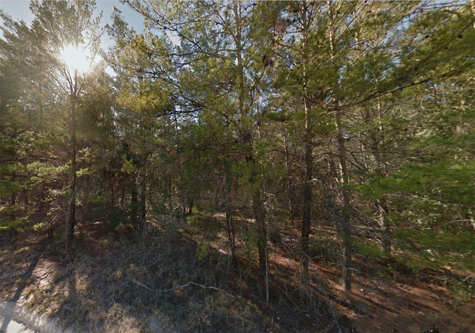 Lot 3 NE 130TH AVE, WILLISTON, FL, 32696