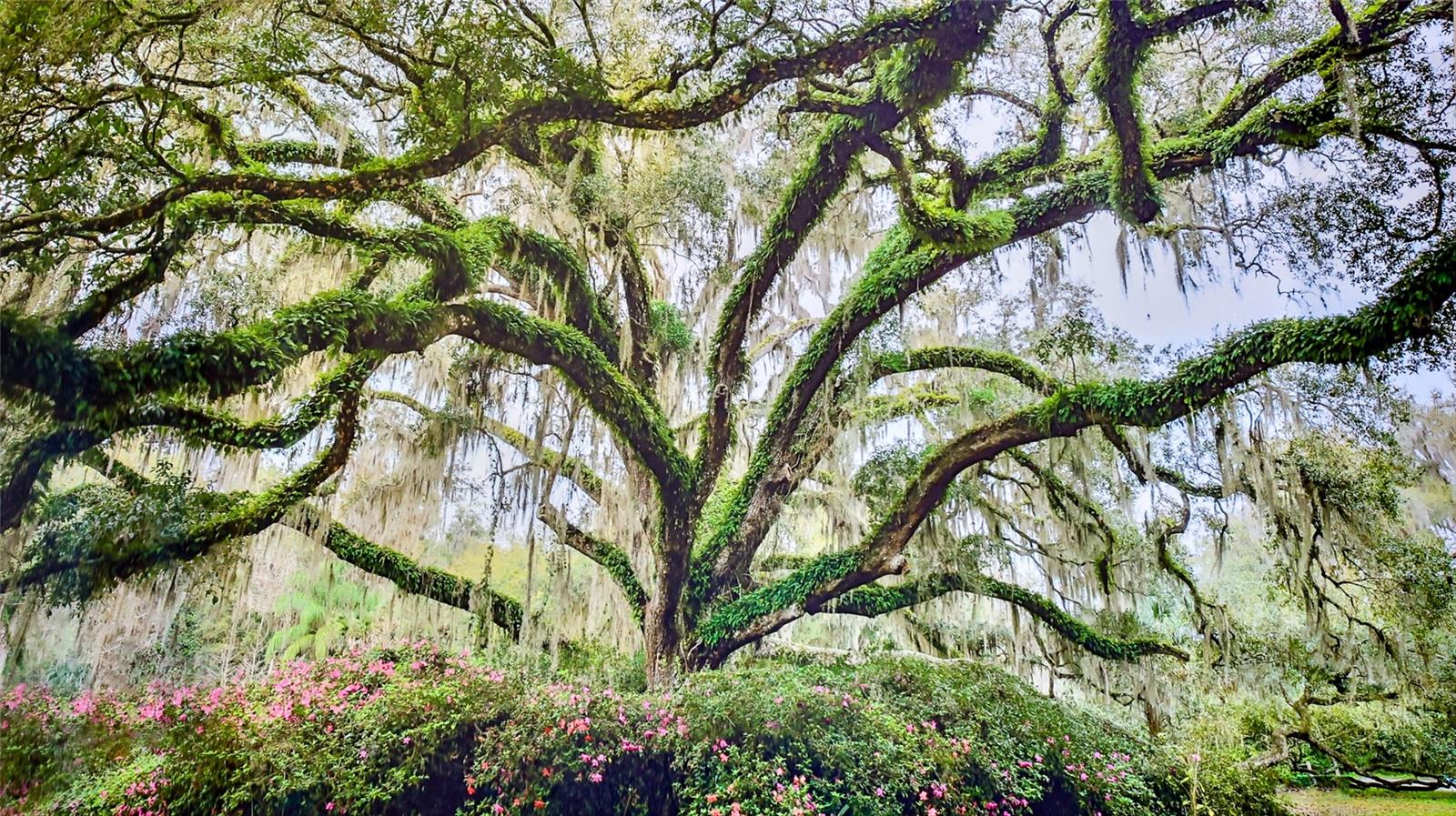 1 HAMMOCK BEACH PKWY, PALM COAST, FL, 32137