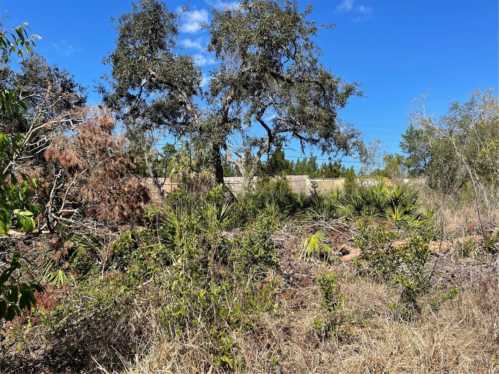 16883 DRY TORTUGAS RUN, HUDSON, FL, 34667