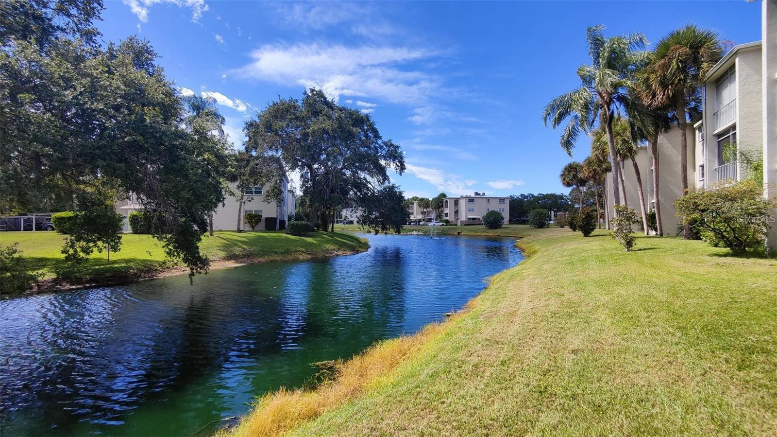 952 VIRGINIA ST #103, DUNEDIN, FL, 34698