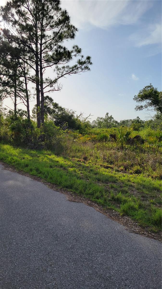 12470 BENNER LN, PORT CHARLOTTE, FL, 33953
