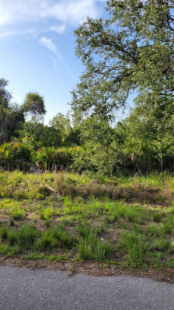 12470 BENNER LN, PORT CHARLOTTE, FL, 33953