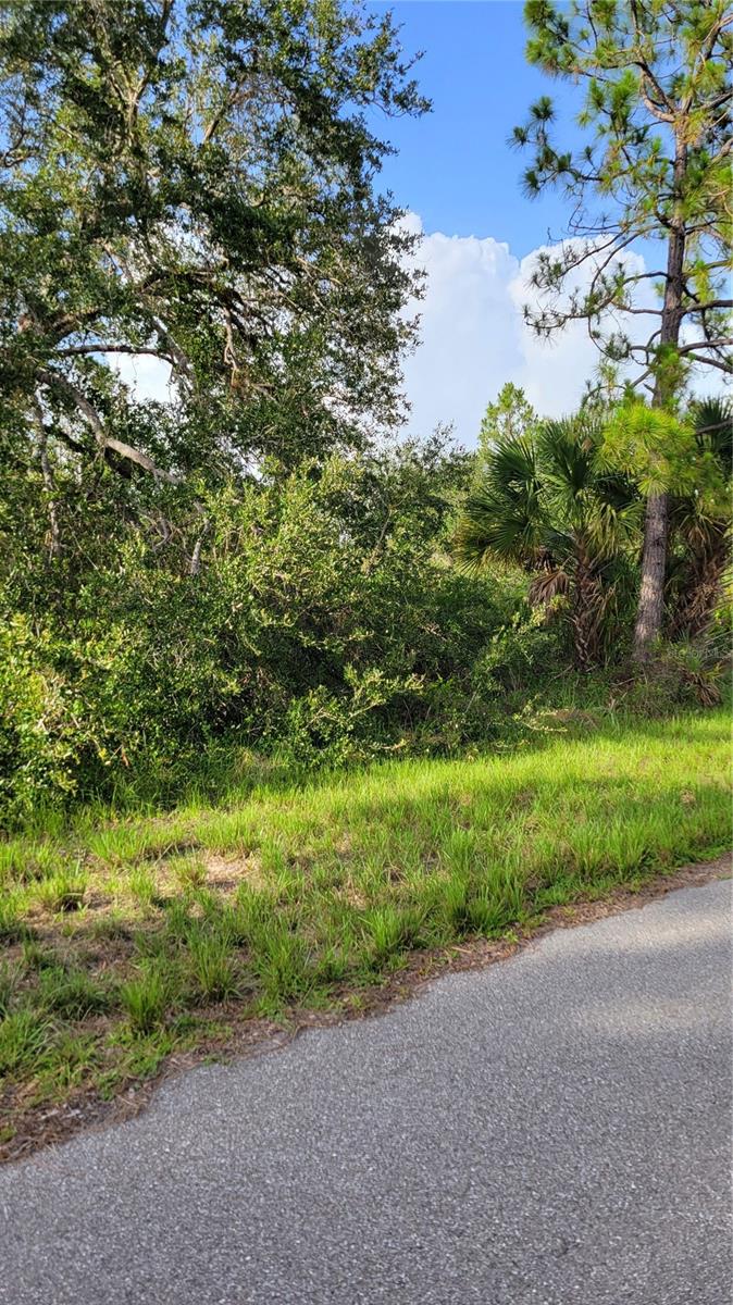 12470 BENNER LN, PORT CHARLOTTE, FL, 33953