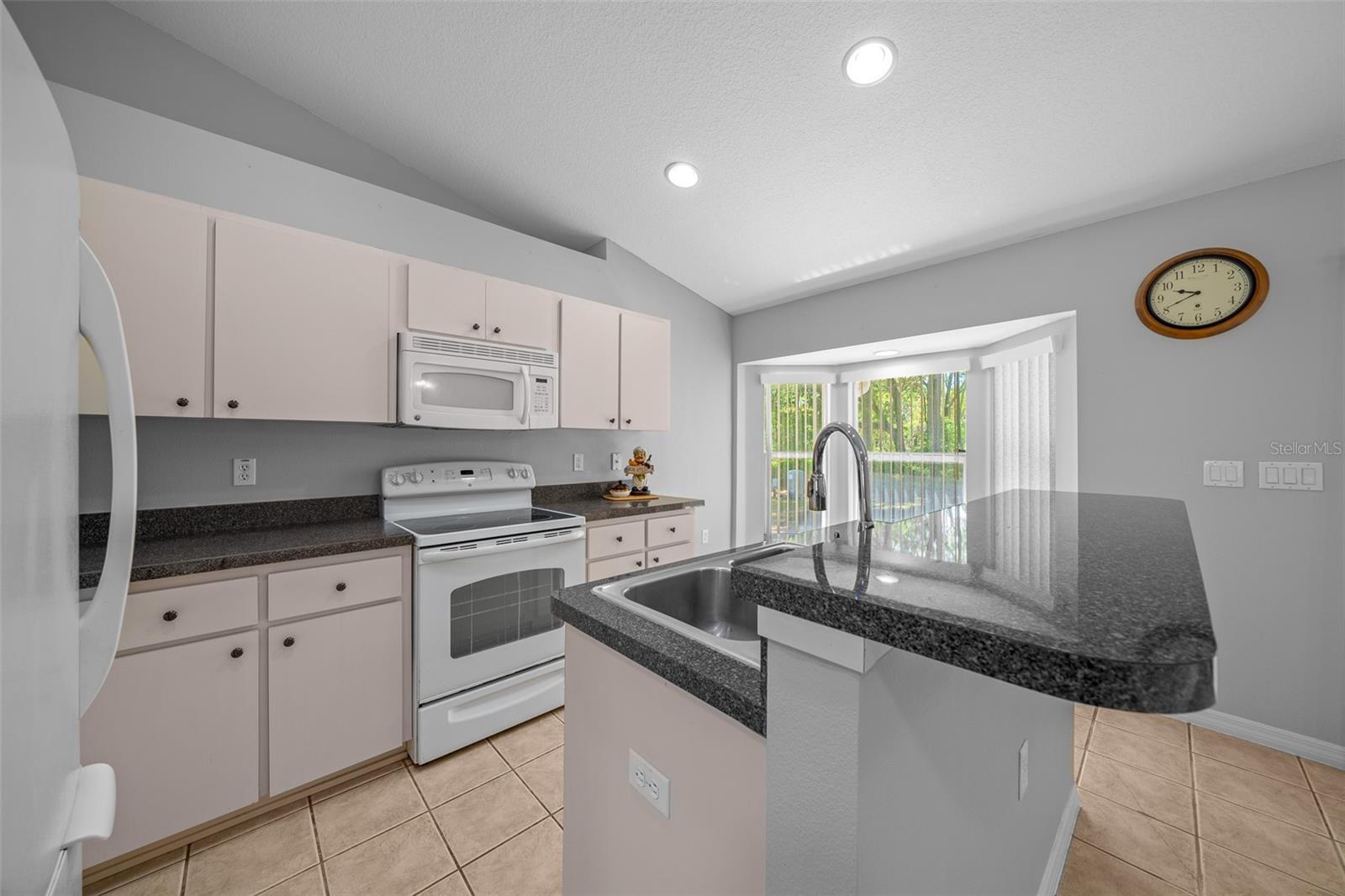 9300 SE 161ST ST, SUMMERFIELD, FL, 34491