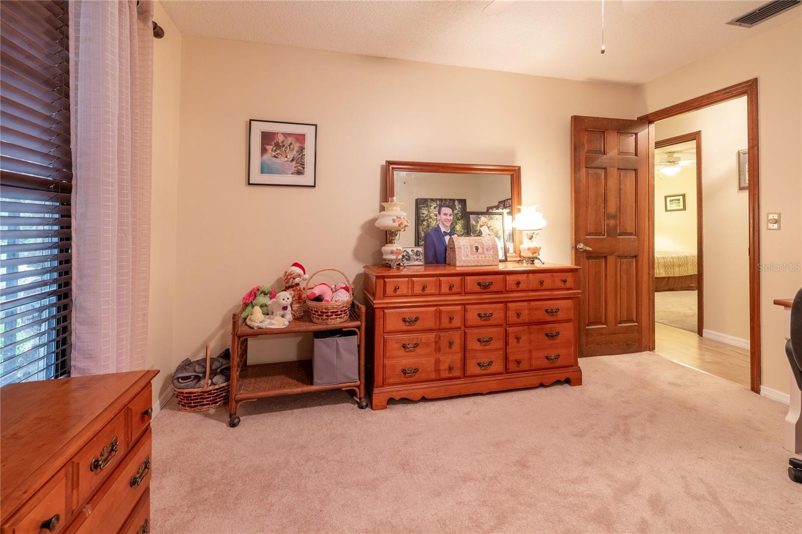 929 TORCHWOOD DR, DELAND, FL, 32724