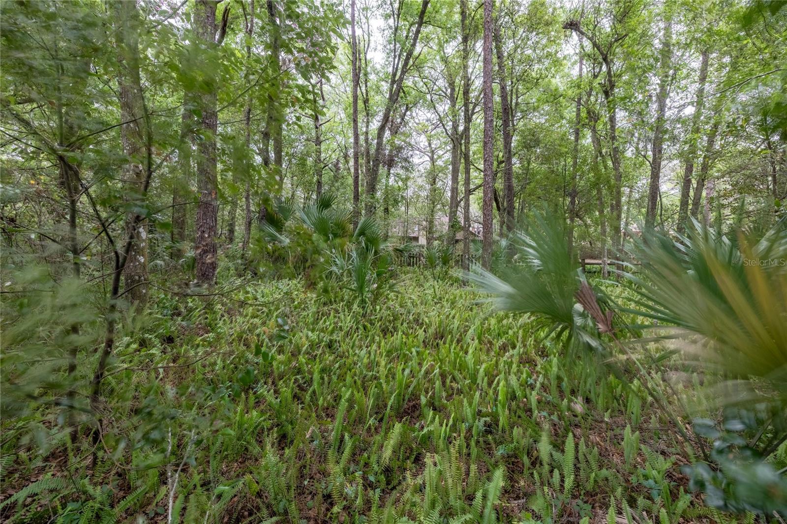 929 TORCHWOOD DR, DELAND, FL, 32724