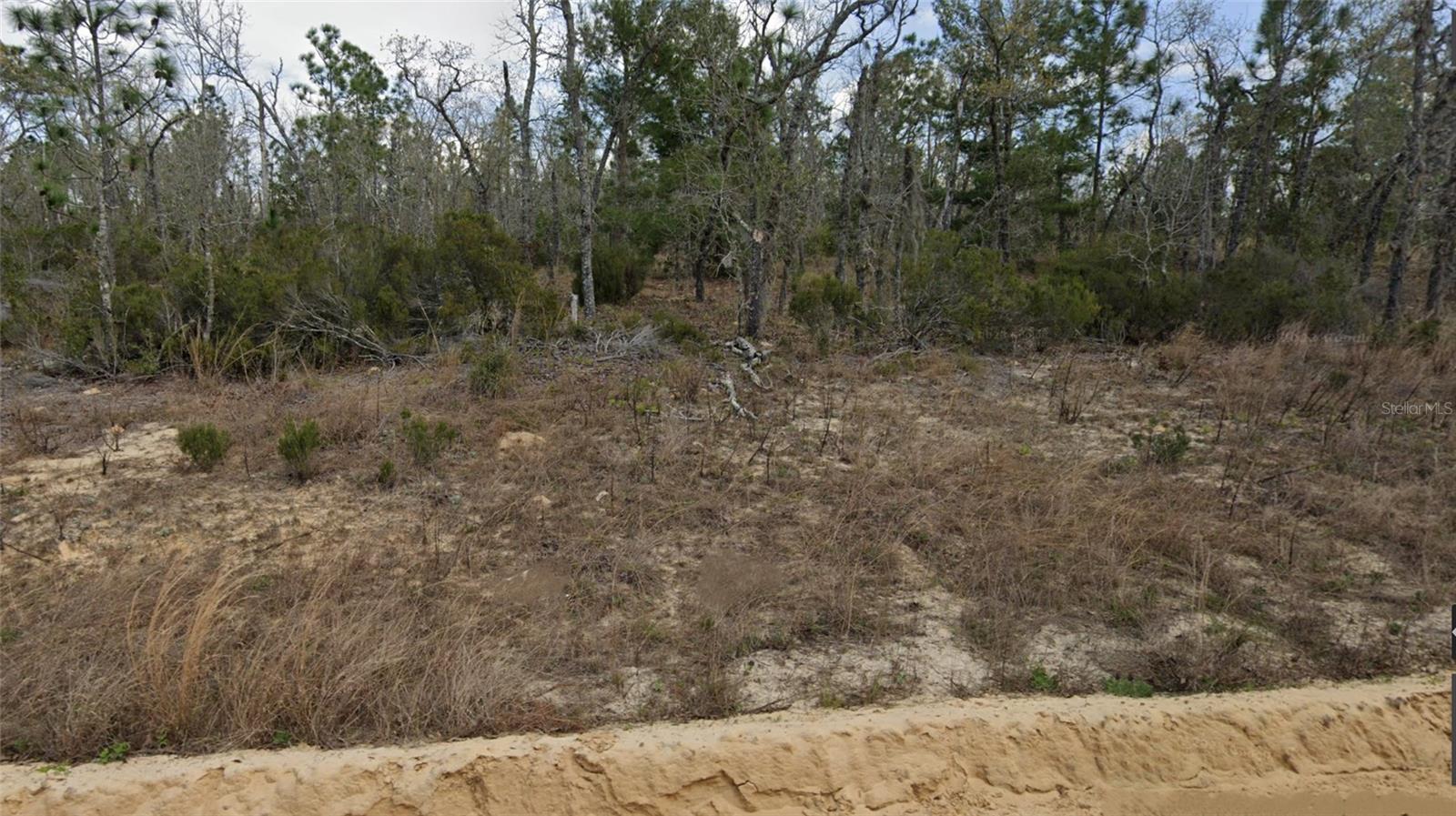 Lot 33 TWIN LAKES BLVD, INTERLACHEN, FL, 32148