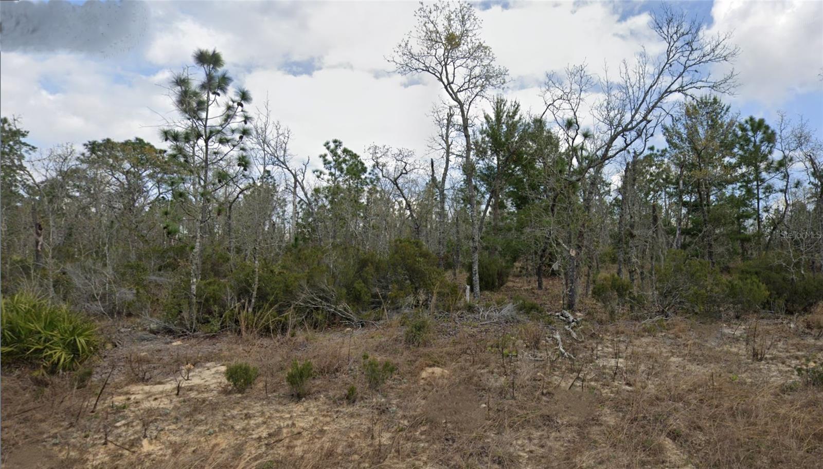 Lot 33 TWIN LAKES BLVD, INTERLACHEN, FL, 32148