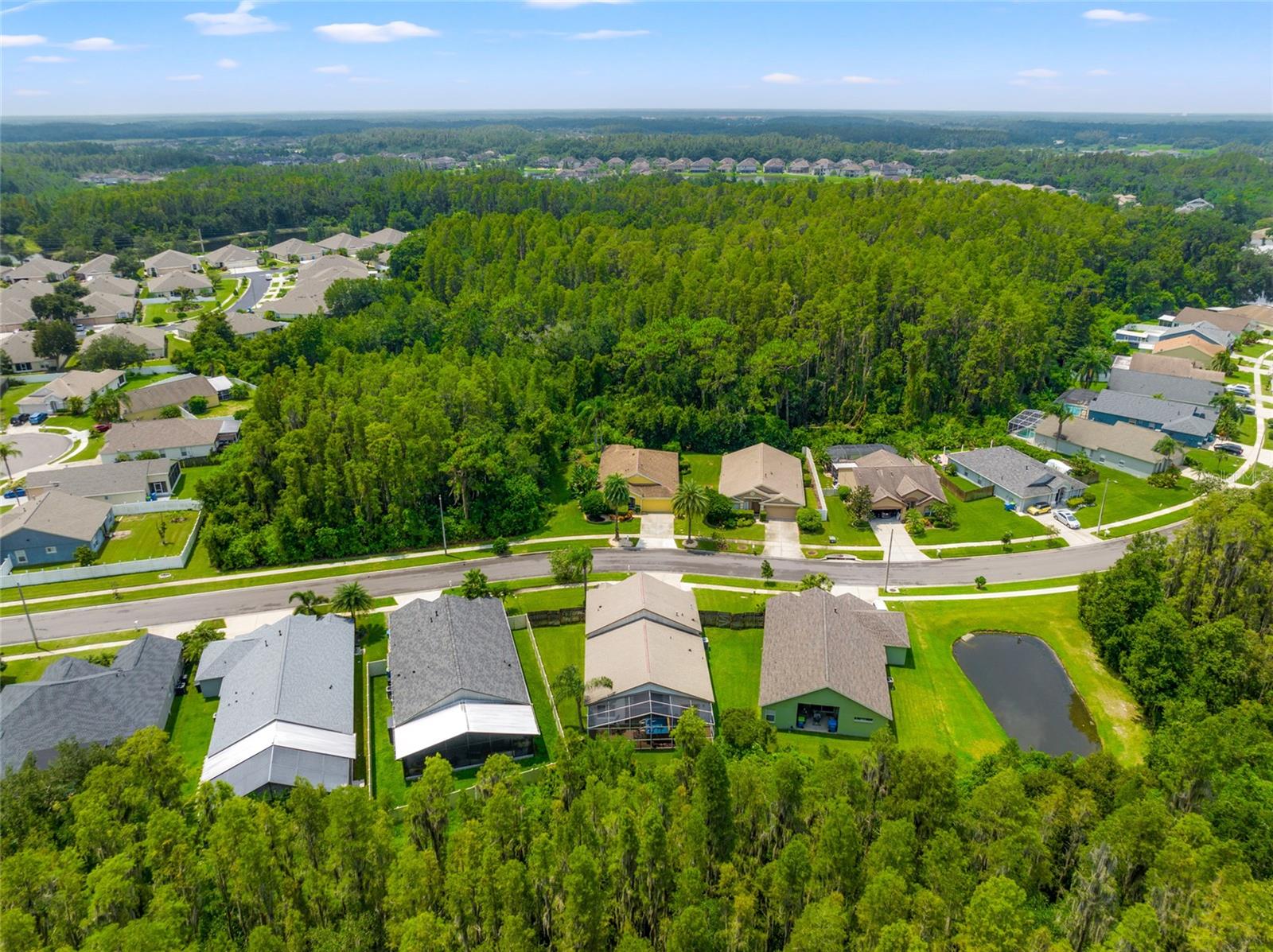 30829 IVERSON DR, WESLEY CHAPEL, FL, 33543