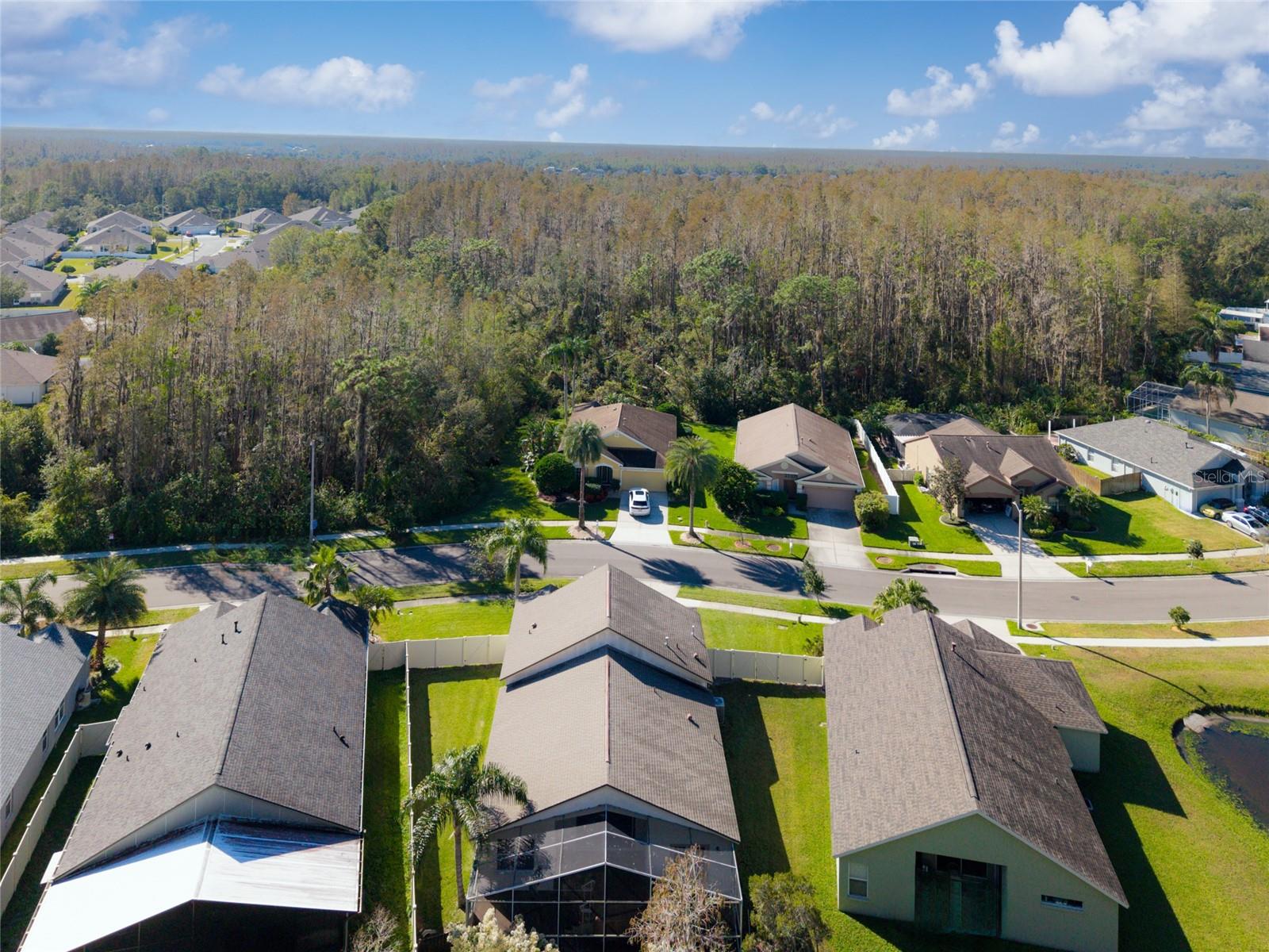 30829 IVERSON DR, WESLEY CHAPEL, FL, 33543
