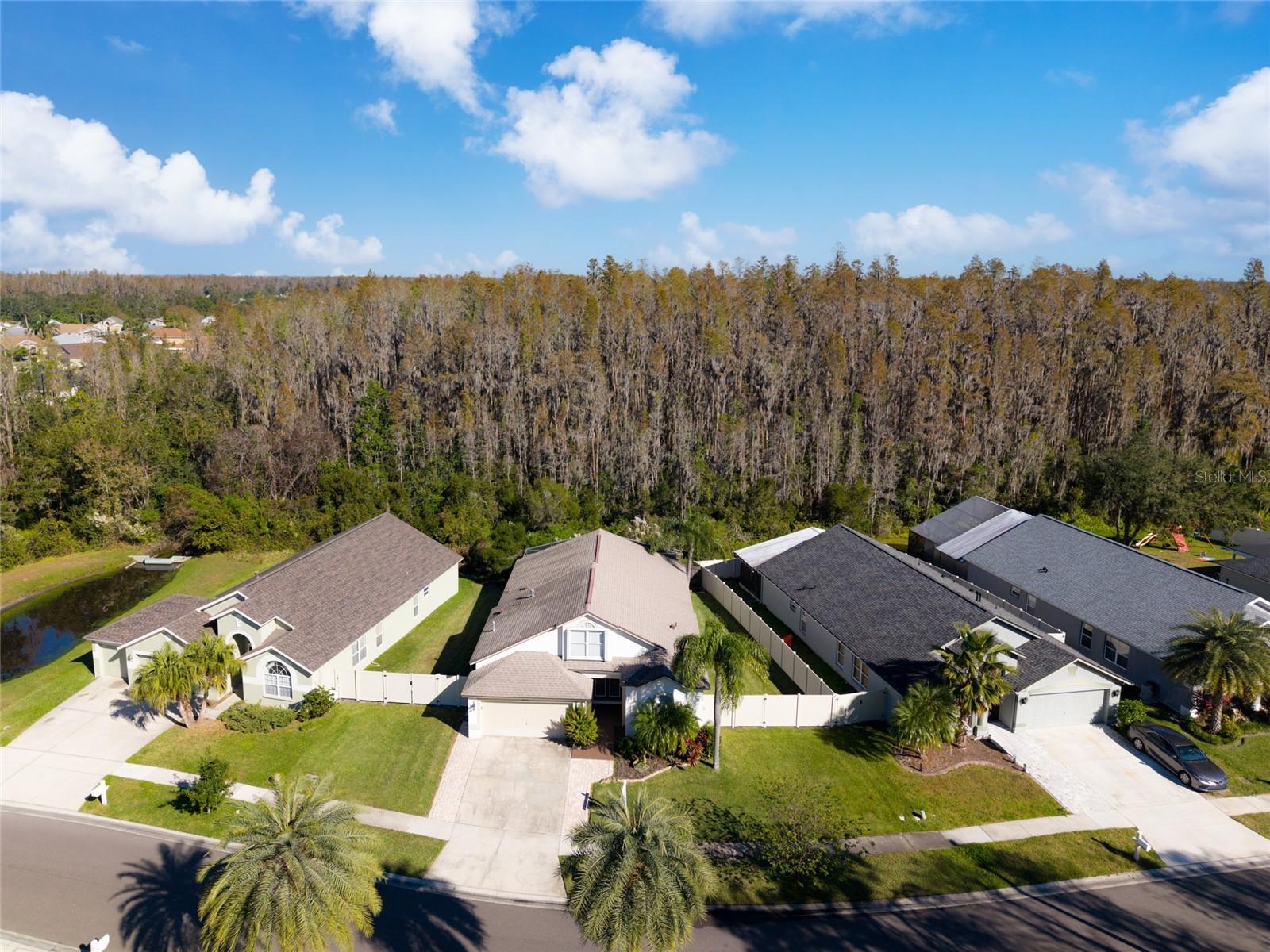 30829 IVERSON DR, WESLEY CHAPEL, FL, 33543