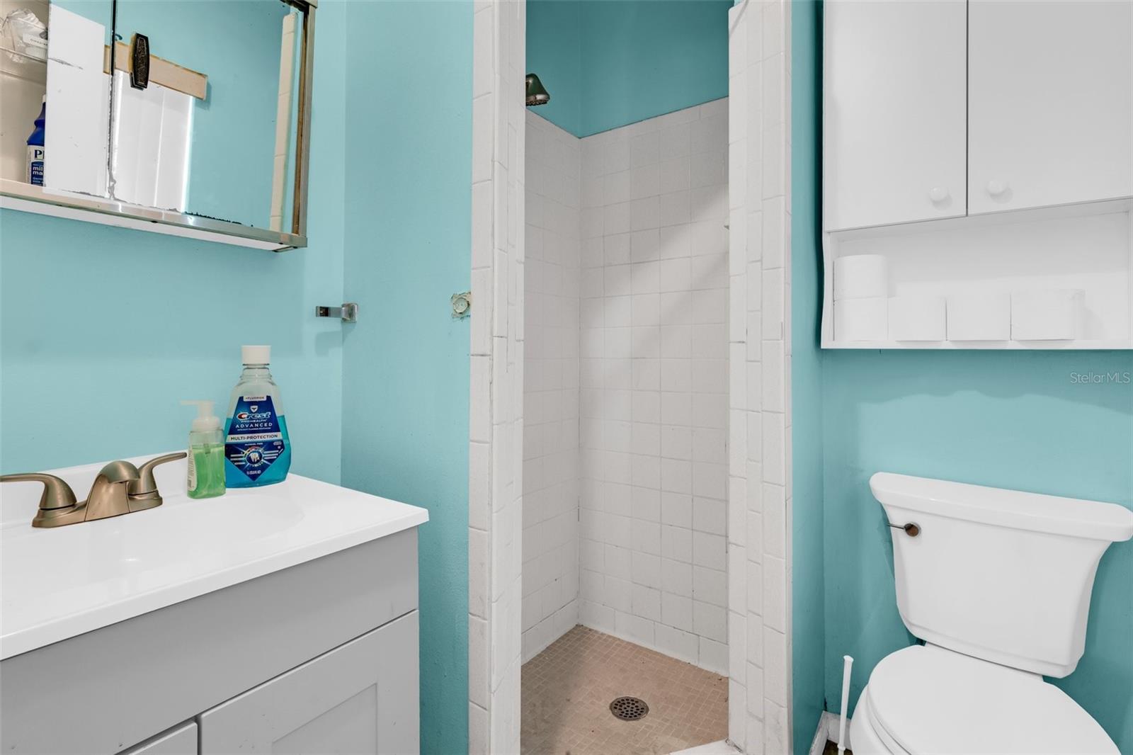 1043 PINEVIEW PL, LAKELAND, FL, 33801