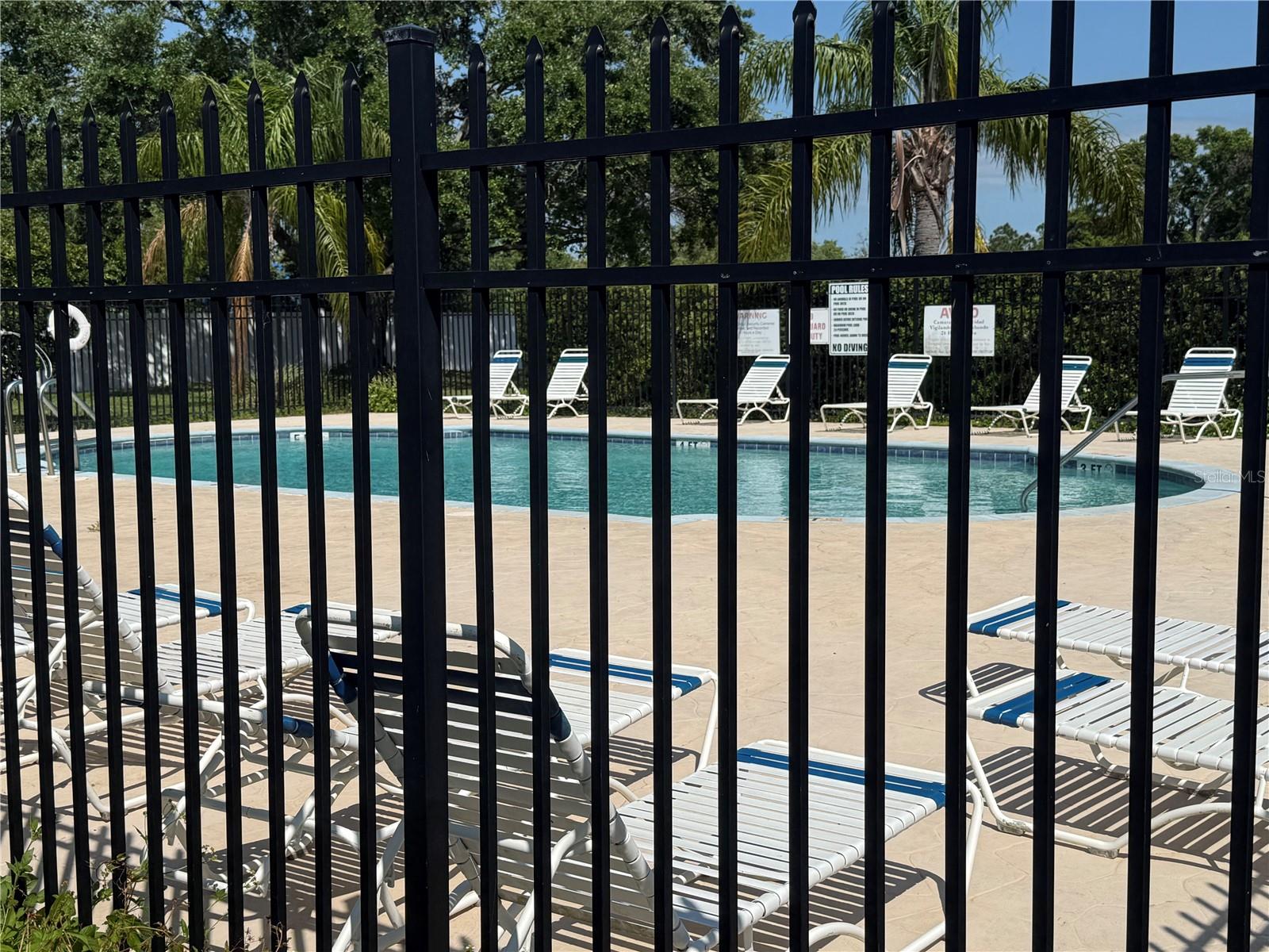 1551 BLUE MAGNOLIA RD, BRANDON, FL, 33510