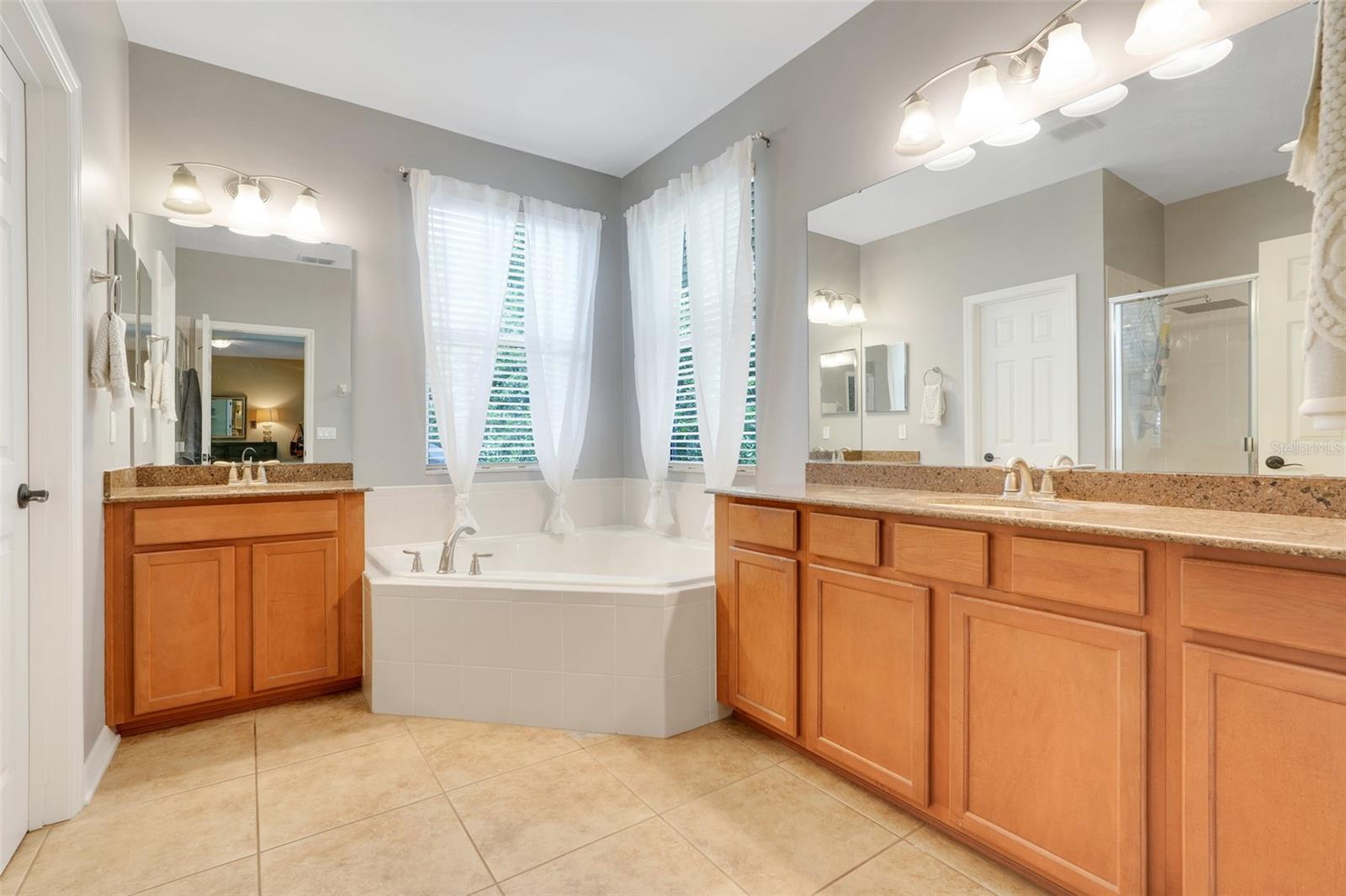 315 PEACOCK SPRINGS CT, GROVELAND, FL, 34736