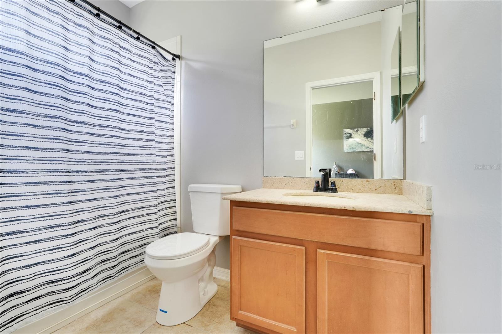 315 PEACOCK SPRINGS CT, GROVELAND, FL, 34736