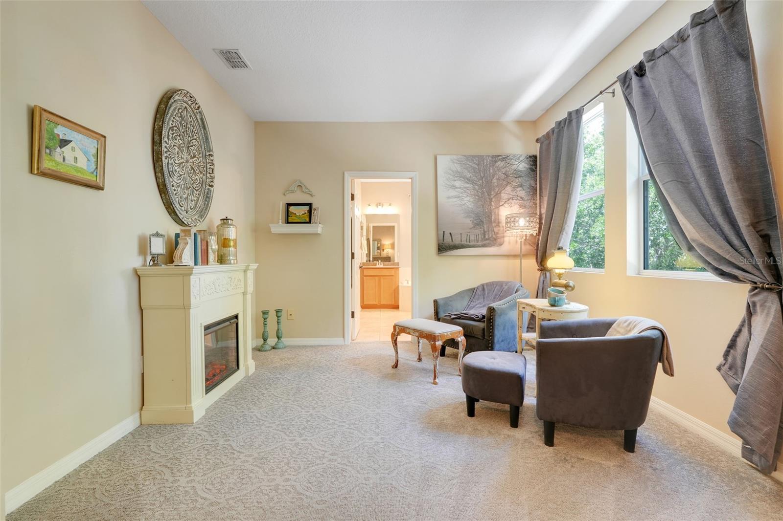 315 PEACOCK SPRINGS CT, GROVELAND, FL, 34736