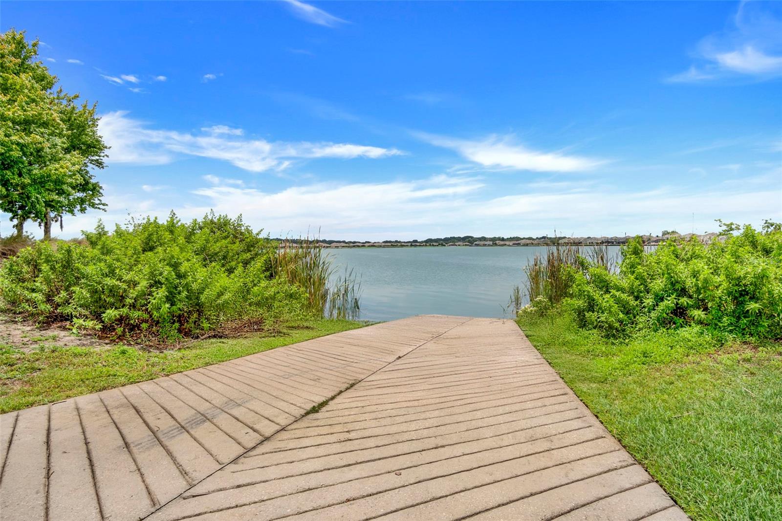 315 PEACOCK SPRINGS CT, GROVELAND, FL, 34736