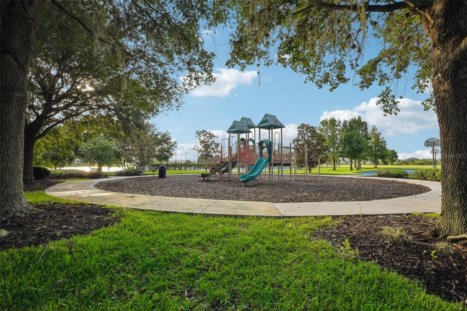 315 PEACOCK SPRINGS CT, GROVELAND, FL, 34736