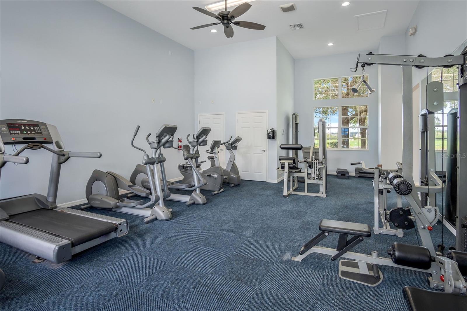 315 PEACOCK SPRINGS CT, GROVELAND, FL, 34736