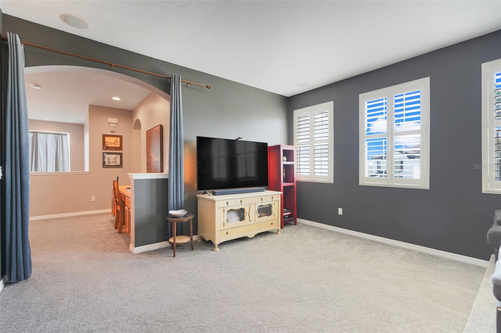 315 PEACOCK SPRINGS CT, GROVELAND, FL, 34736