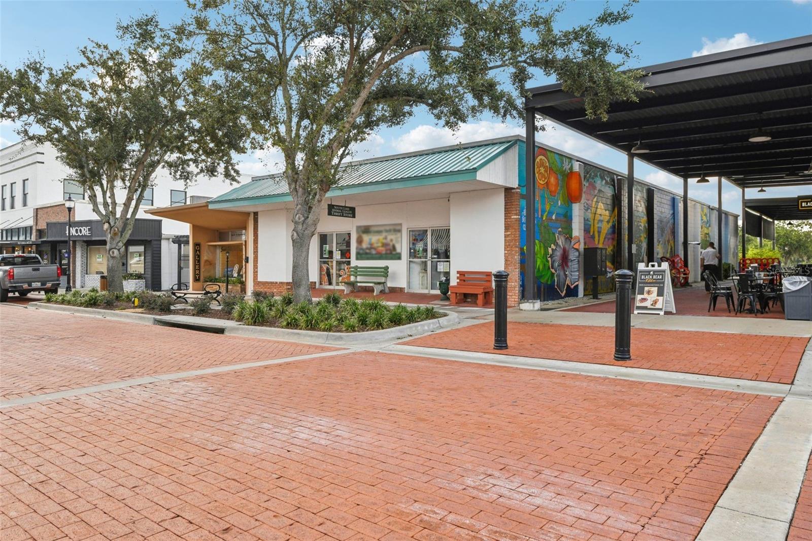 315 PEACOCK SPRINGS CT, GROVELAND, FL, 34736