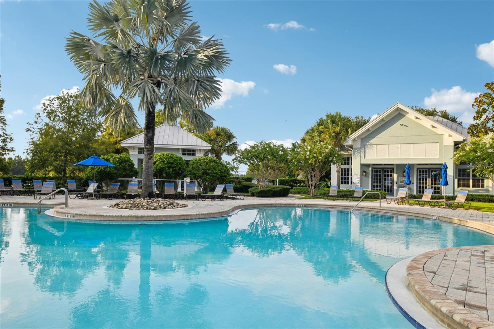 315 PEACOCK SPRINGS CT, GROVELAND, FL, 34736