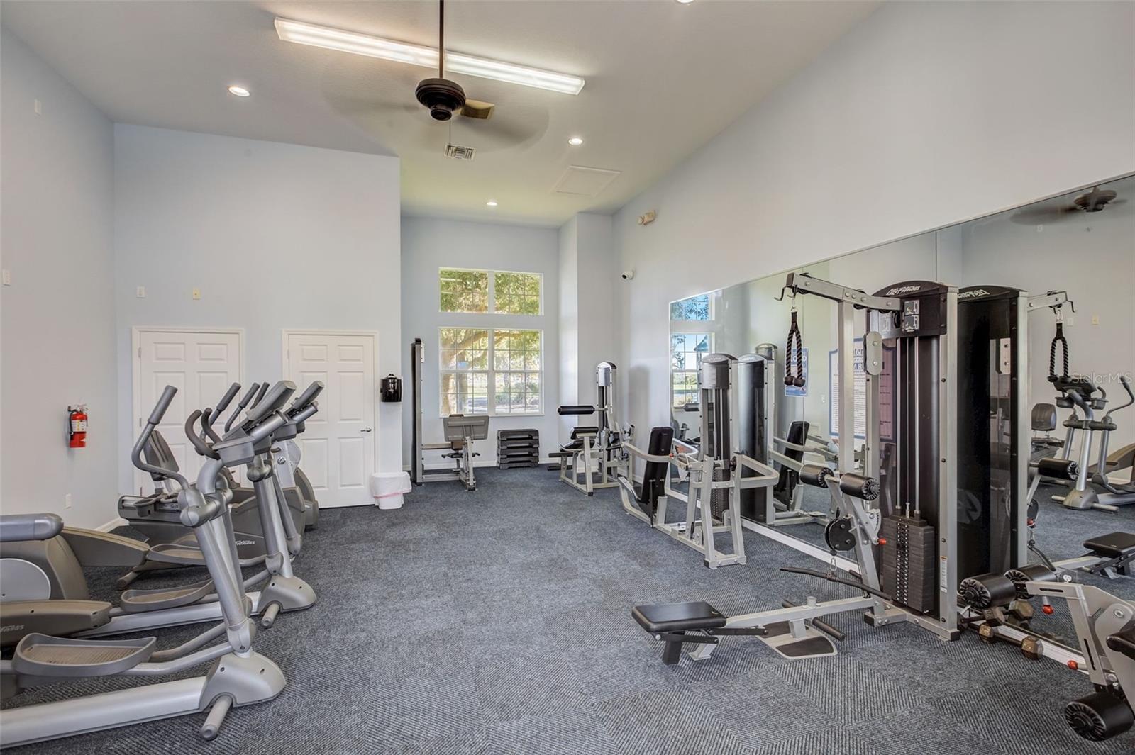 315 PEACOCK SPRINGS CT, GROVELAND, FL, 34736