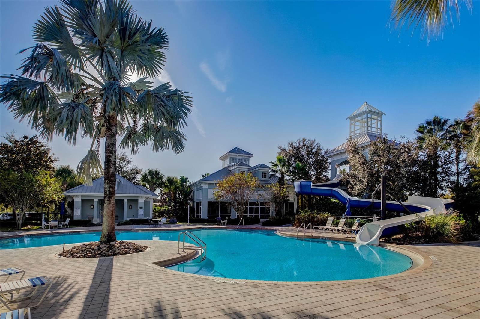 315 PEACOCK SPRINGS CT, GROVELAND, FL, 34736