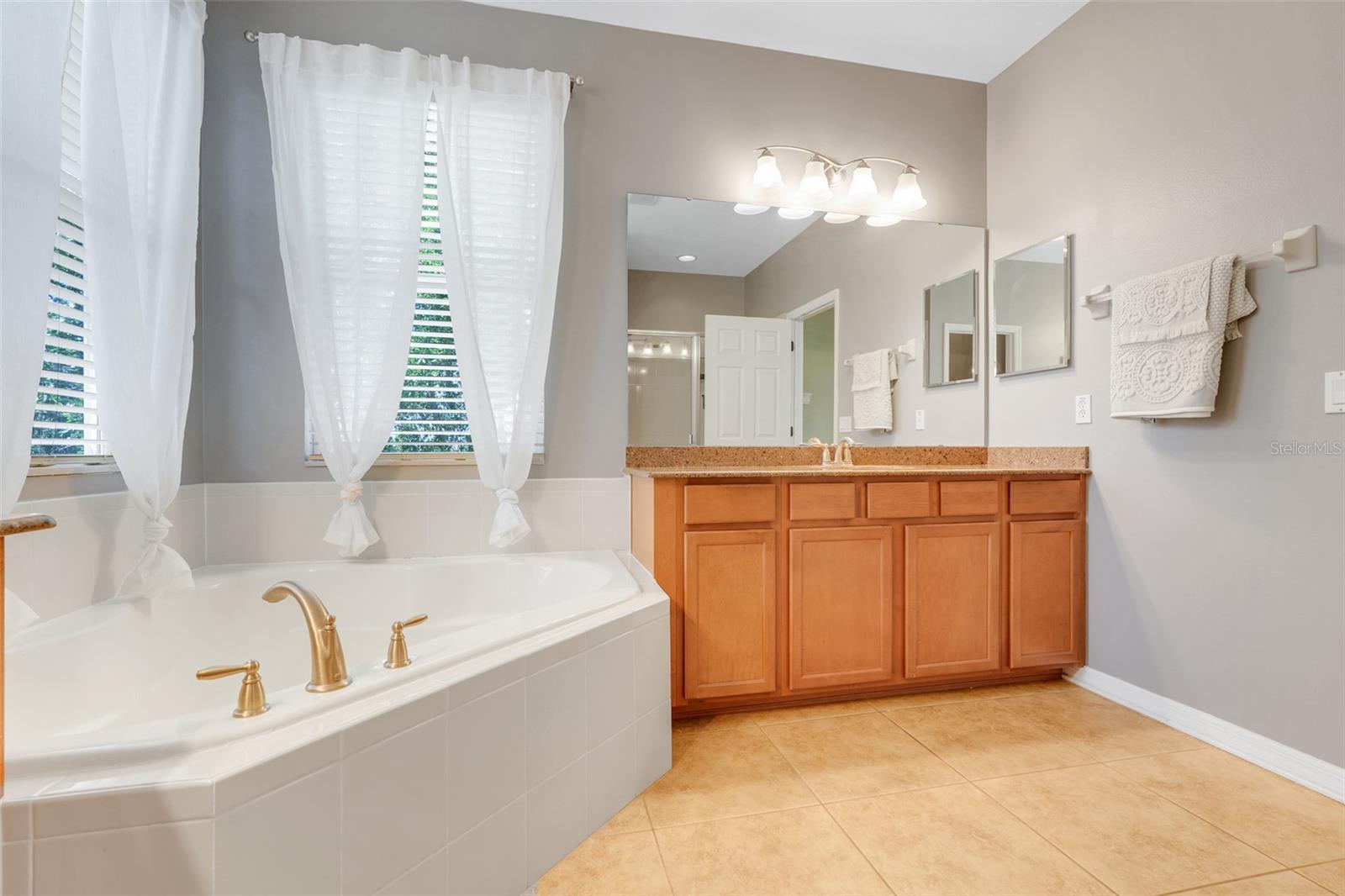 315 PEACOCK SPRINGS CT, GROVELAND, FL, 34736