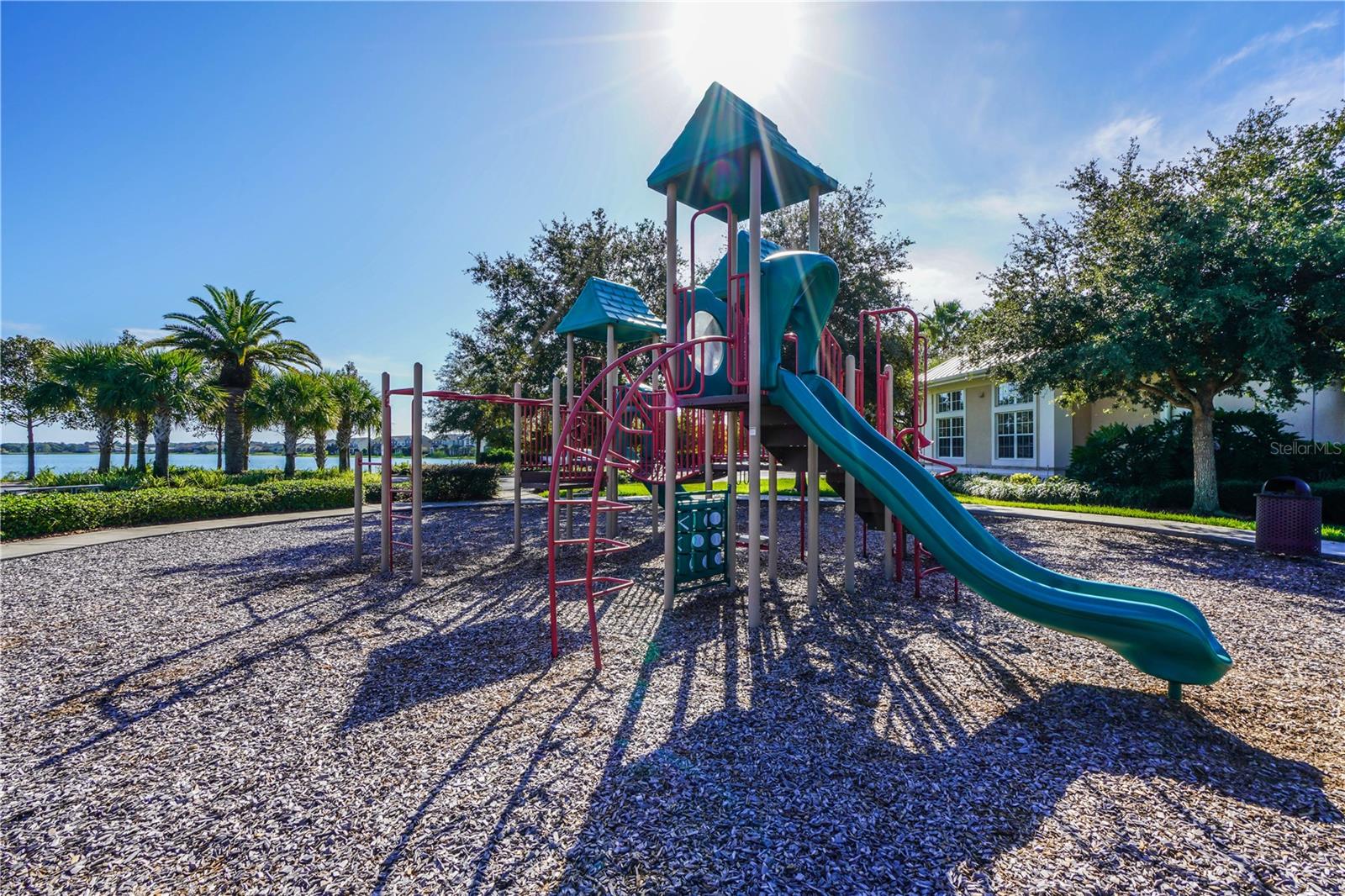 315 PEACOCK SPRINGS CT, GROVELAND, FL, 34736